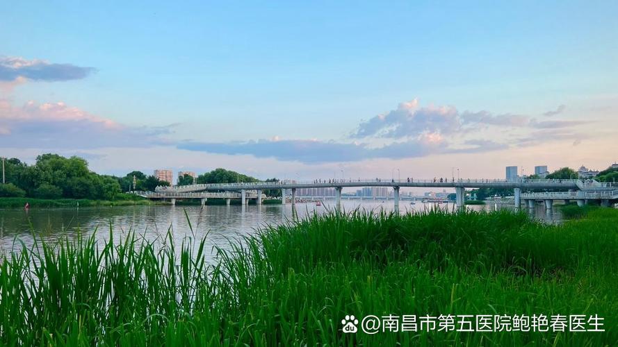 抓紧去个税确认这个信息